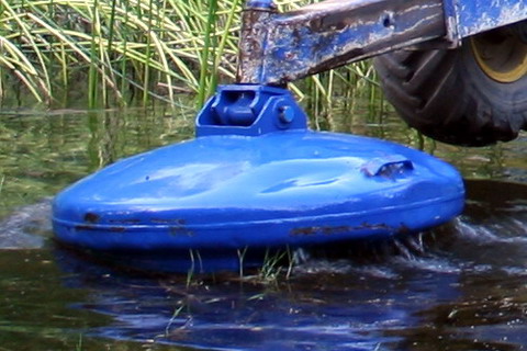 Swamp Paws