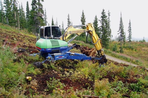 Clearing and rebuilding ski runs — mulching previously hand-logged terrain down to ground level.