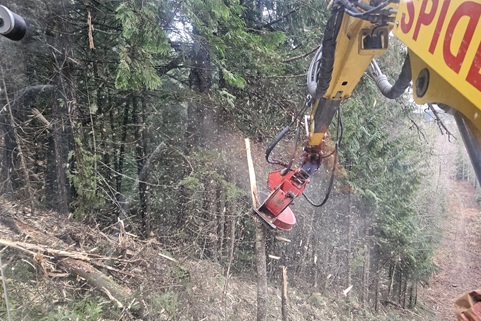 The mulcher processes trees into chips, establishing rights-of-way and ski runs.