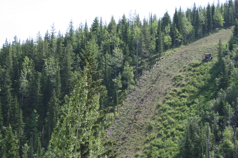 These slopes are accessible by spider or on foot only — manual cutting would be punishing.