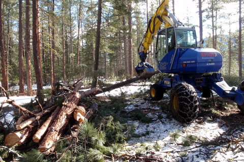 Fuel Modification — the Spidex walking excavator on site